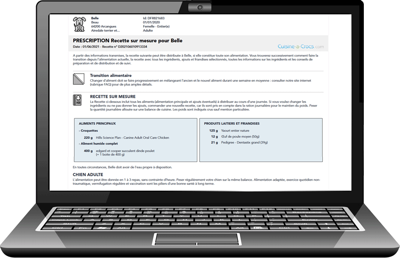 recette pour chien cuisine-a-crocs laptop